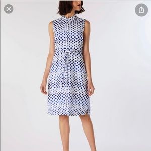 New RRP £32.95 Cath Kidston Beautiful Navy Spotted Dress U24 New RRP £32.95 Cath Kidston Beautiful Navy Spotted Dress U24